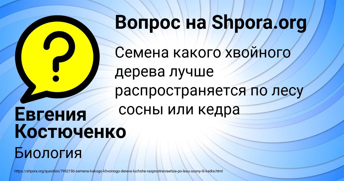Картинка с текстом вопроса от пользователя Евгения Костюченко