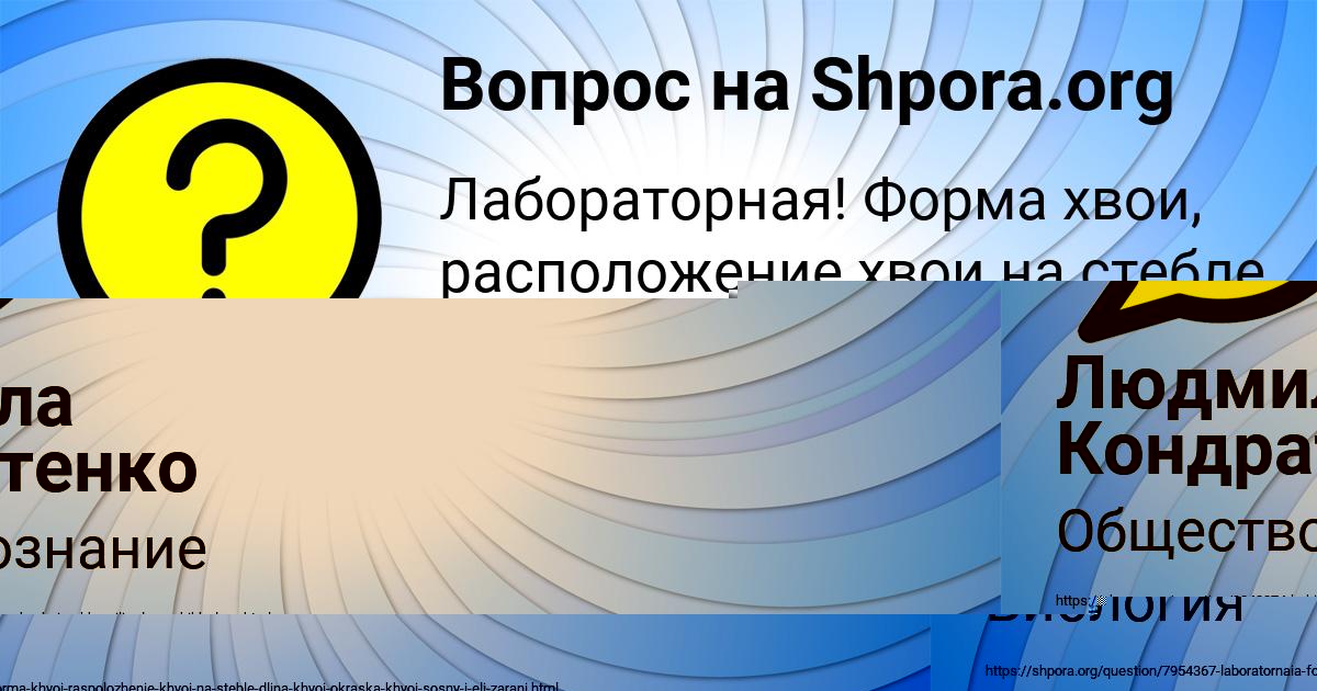 Картинка с текстом вопроса от пользователя Маша Гущина