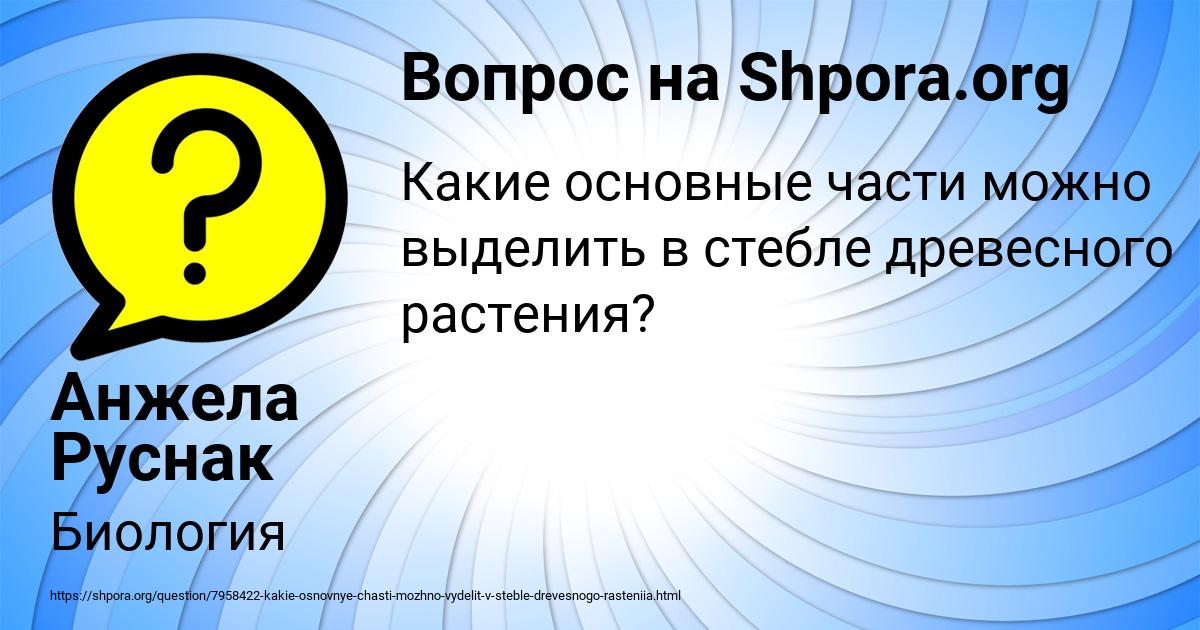 Картинка с текстом вопроса от пользователя Анжела Руснак