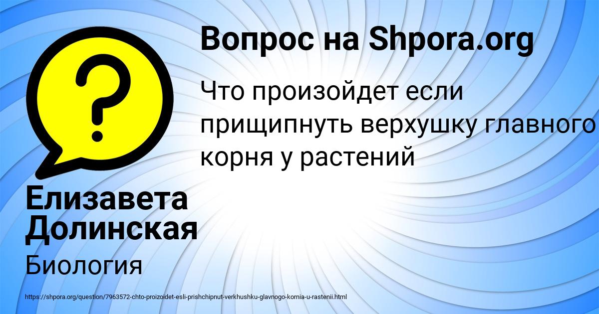 Картинка с текстом вопроса от пользователя Елизавета Долинская