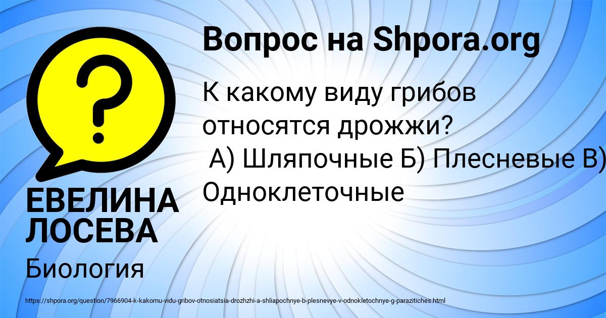 Картинка с текстом вопроса от пользователя ЕВЕЛИНА ЛОСЕВА