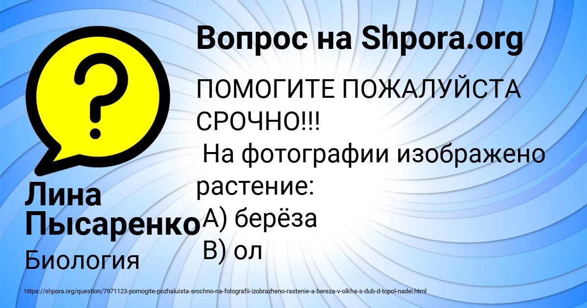 Картинка с текстом вопроса от пользователя Лина Пысаренко