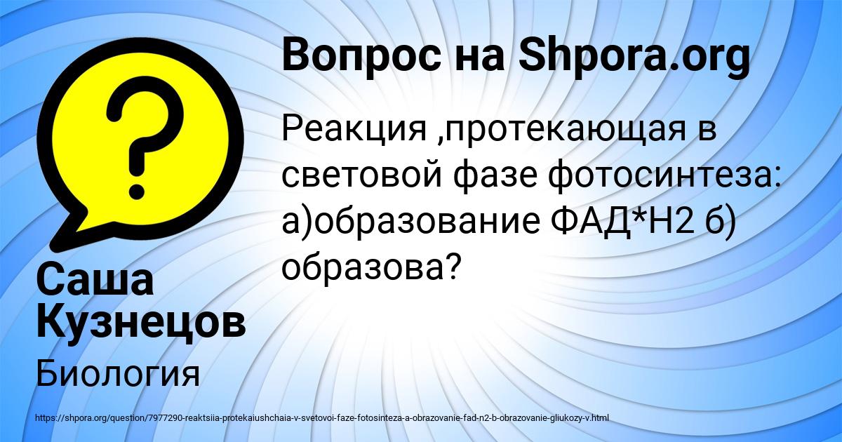 Картинка с текстом вопроса от пользователя Саша Кузнецов