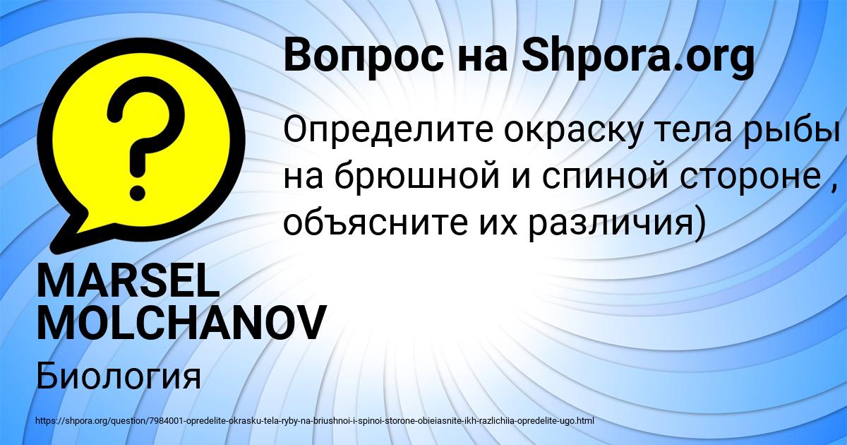 Картинка с текстом вопроса от пользователя MARSEL MOLCHANOV
