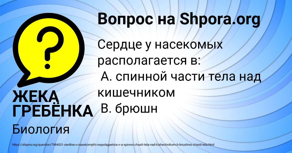 Картинка с текстом вопроса от пользователя ЖЕКА ГРЕБЁНКА