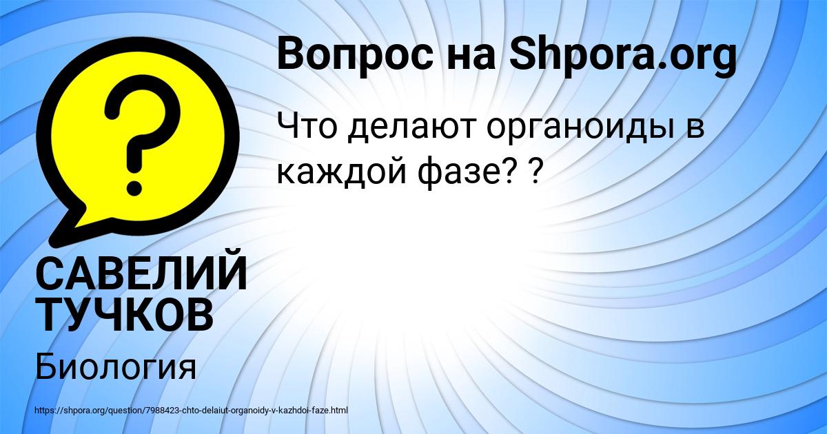 Картинка с текстом вопроса от пользователя САВЕЛИЙ ТУЧКОВ