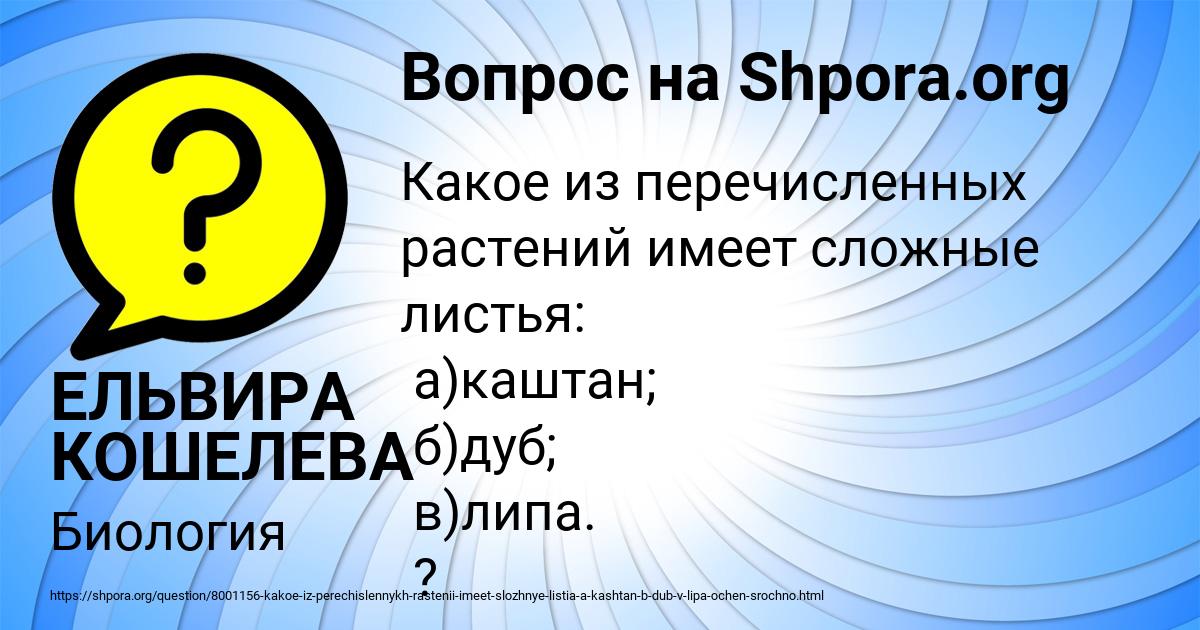 Картинка с текстом вопроса от пользователя ЕЛЬВИРА КОШЕЛЕВА
