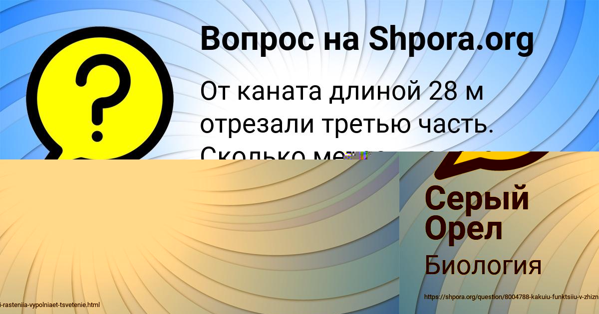 Картинка с текстом вопроса от пользователя Серый Орел