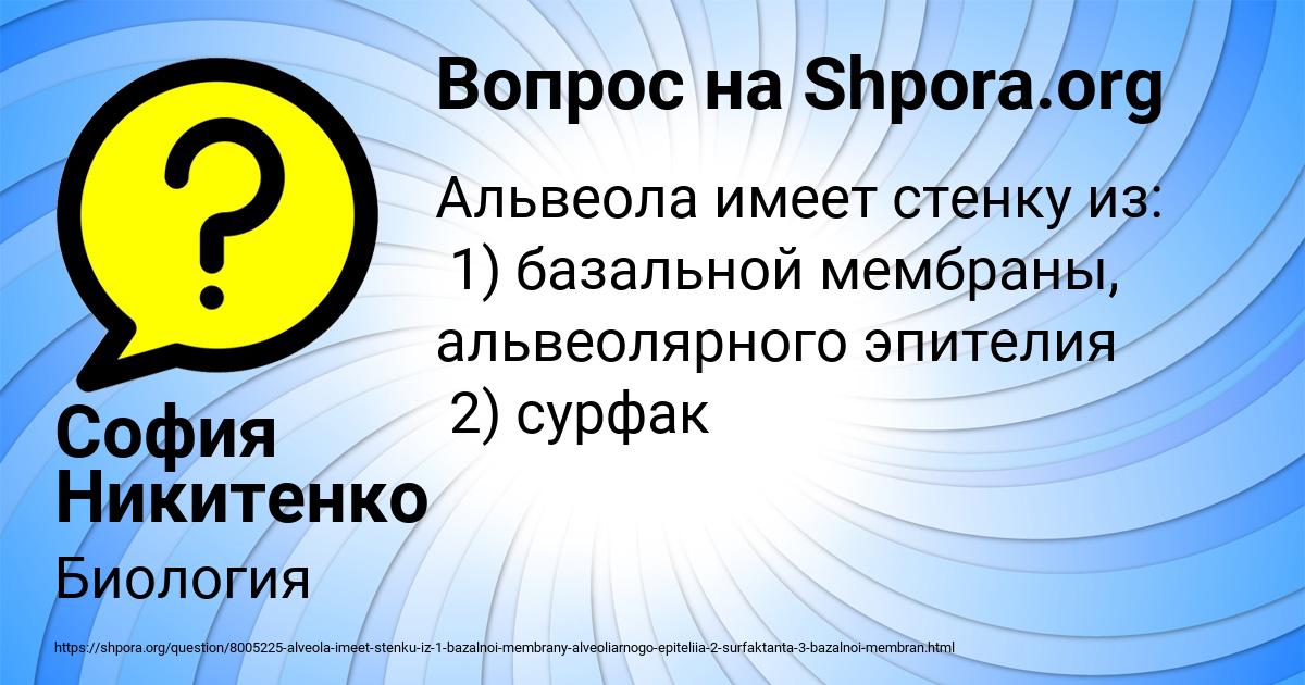 Картинка с текстом вопроса от пользователя София Никитенко