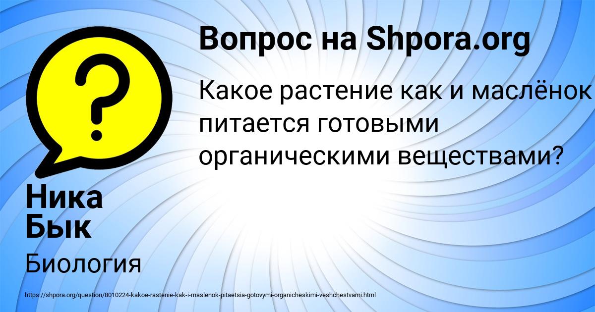 Картинка с текстом вопроса от пользователя Ника Бык