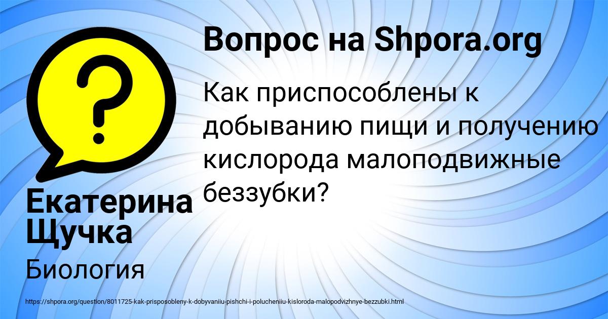 Картинка с текстом вопроса от пользователя Екатерина Щучка