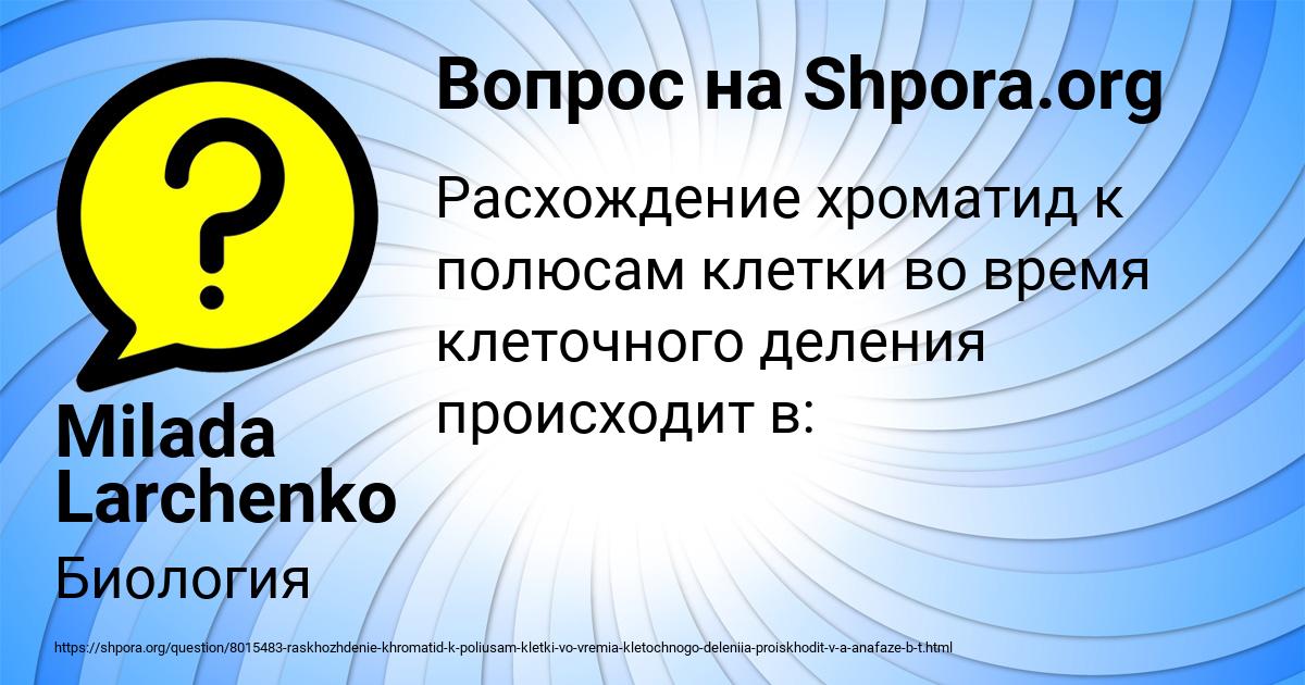 Картинка с текстом вопроса от пользователя Milada Larchenko