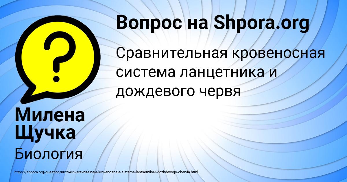 Картинка с текстом вопроса от пользователя Милена Щучка