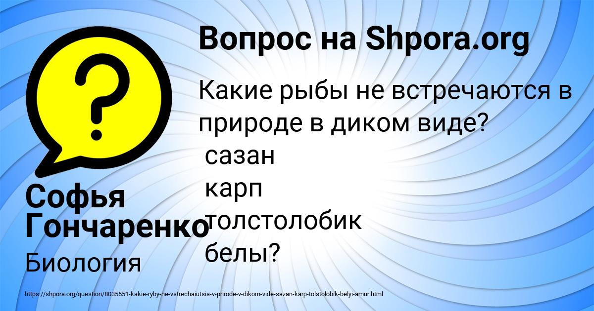 Картинка с текстом вопроса от пользователя Софья Гончаренко