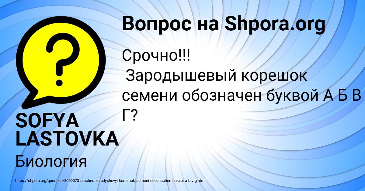 Картинка с текстом вопроса от пользователя SOFYA LASTOVKA