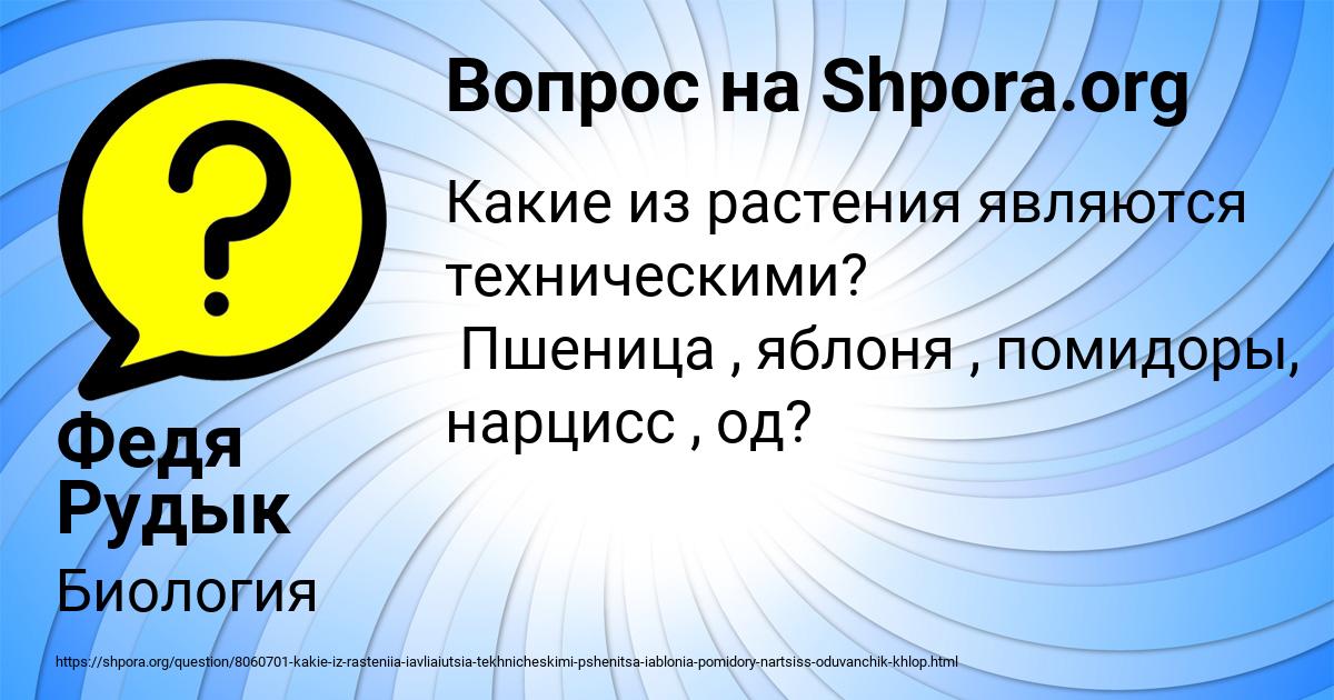 Картинка с текстом вопроса от пользователя Федя Рудык