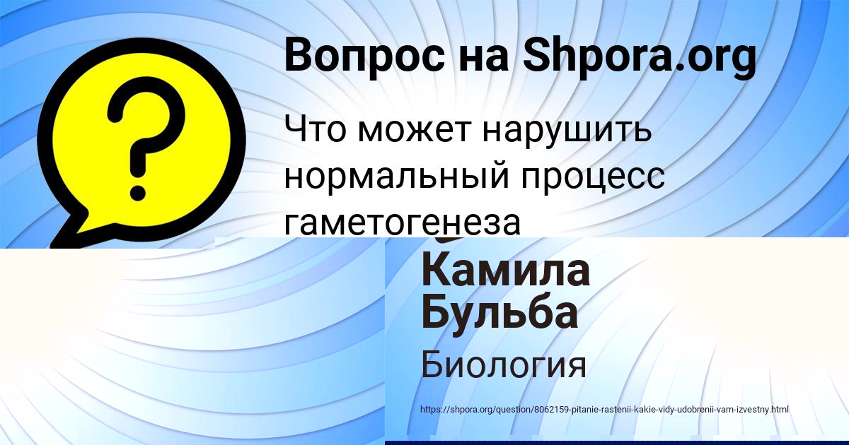 Картинка с текстом вопроса от пользователя Камила Бульба