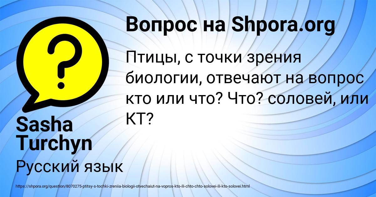 Картинка с текстом вопроса от пользователя Sasha Turchyn