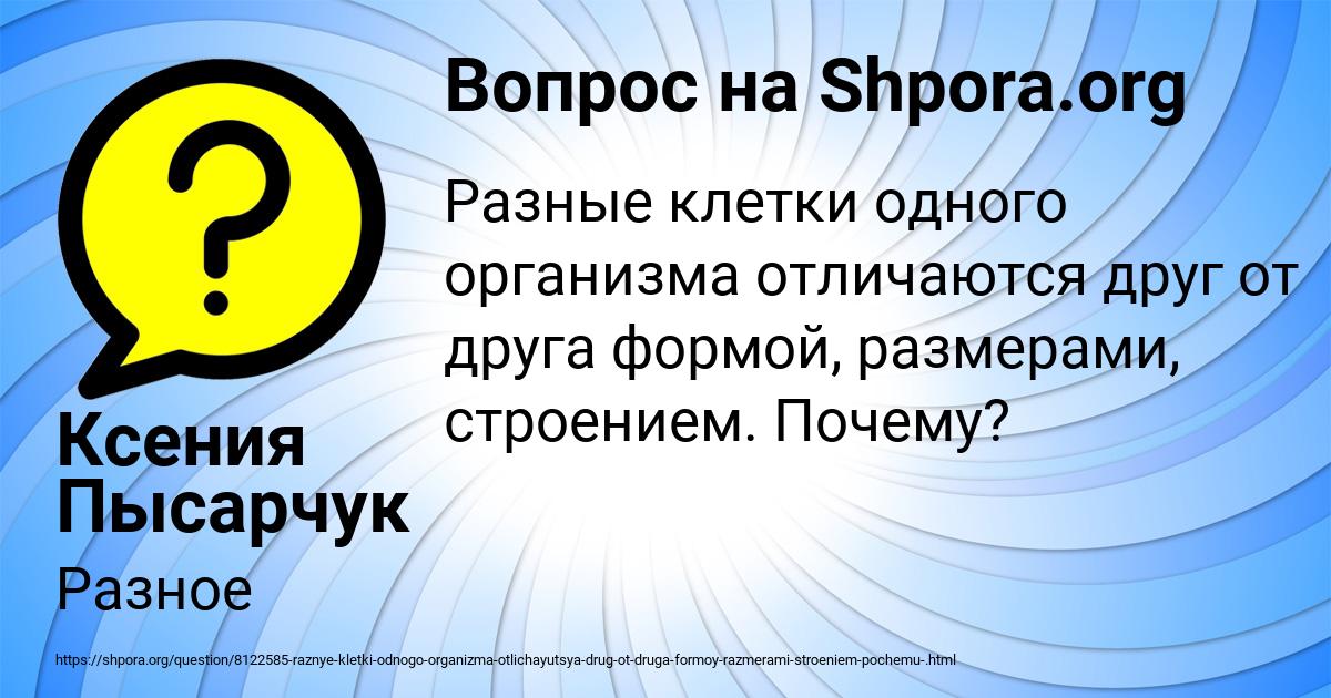 Картинка с текстом вопроса от пользователя Ксения Пысарчук