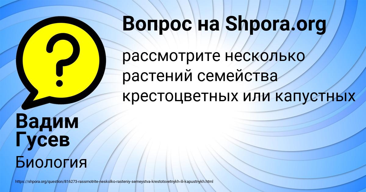 Картинка с текстом вопроса от пользователя Вадим Гусев