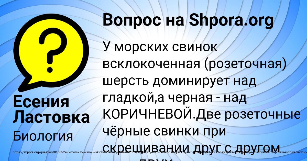 Картинка с текстом вопроса от пользователя Есения Ластовка