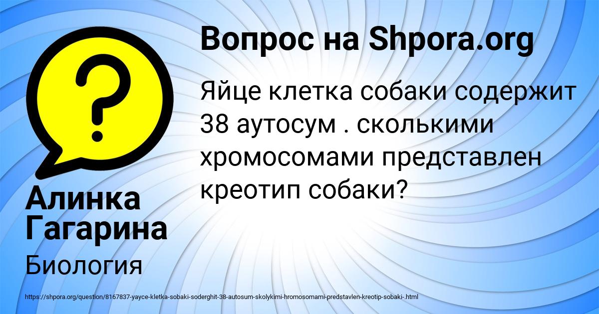 Картинка с текстом вопроса от пользователя Алинка Гагарина