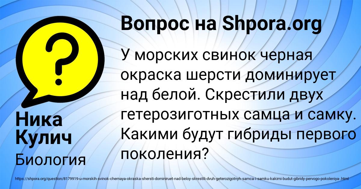 Картинка с текстом вопроса от пользователя Ника Кулич