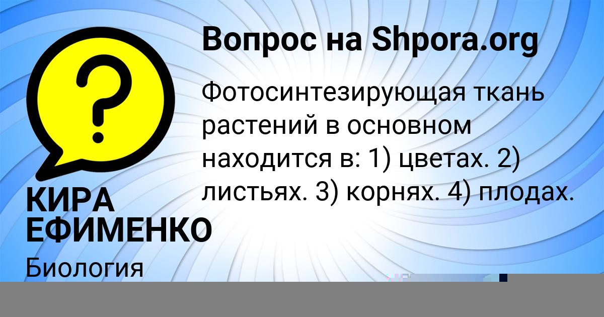 Картинка с текстом вопроса от пользователя КИРА ЕФИМЕНКО