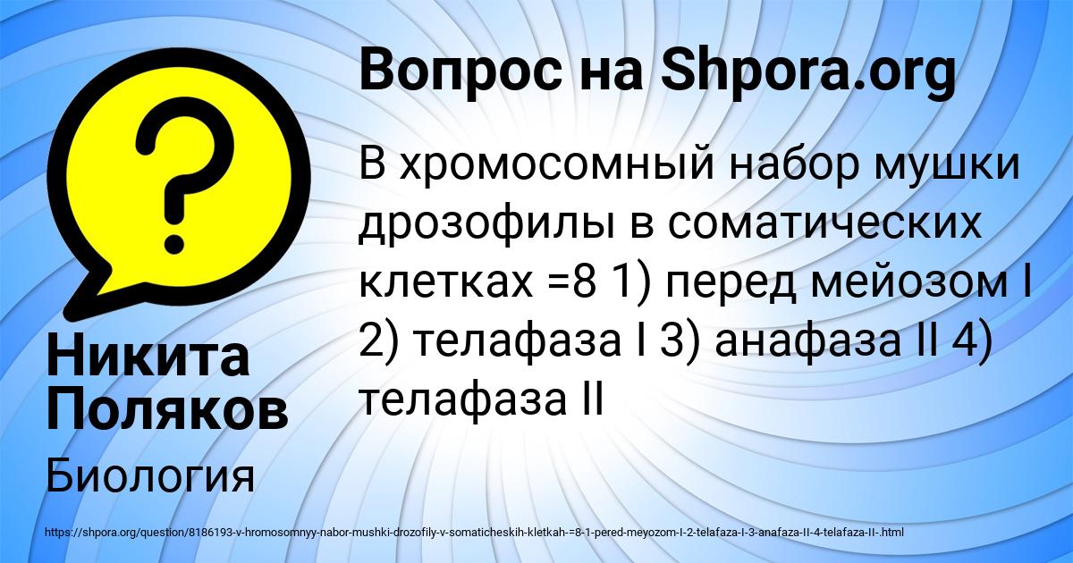 Картинка с текстом вопроса от пользователя Никита Поляков