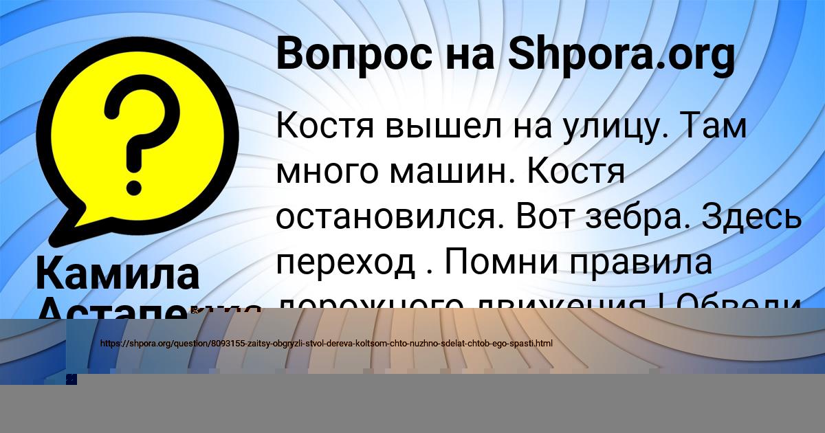 Картинка с текстом вопроса от пользователя Камила Астапенко 