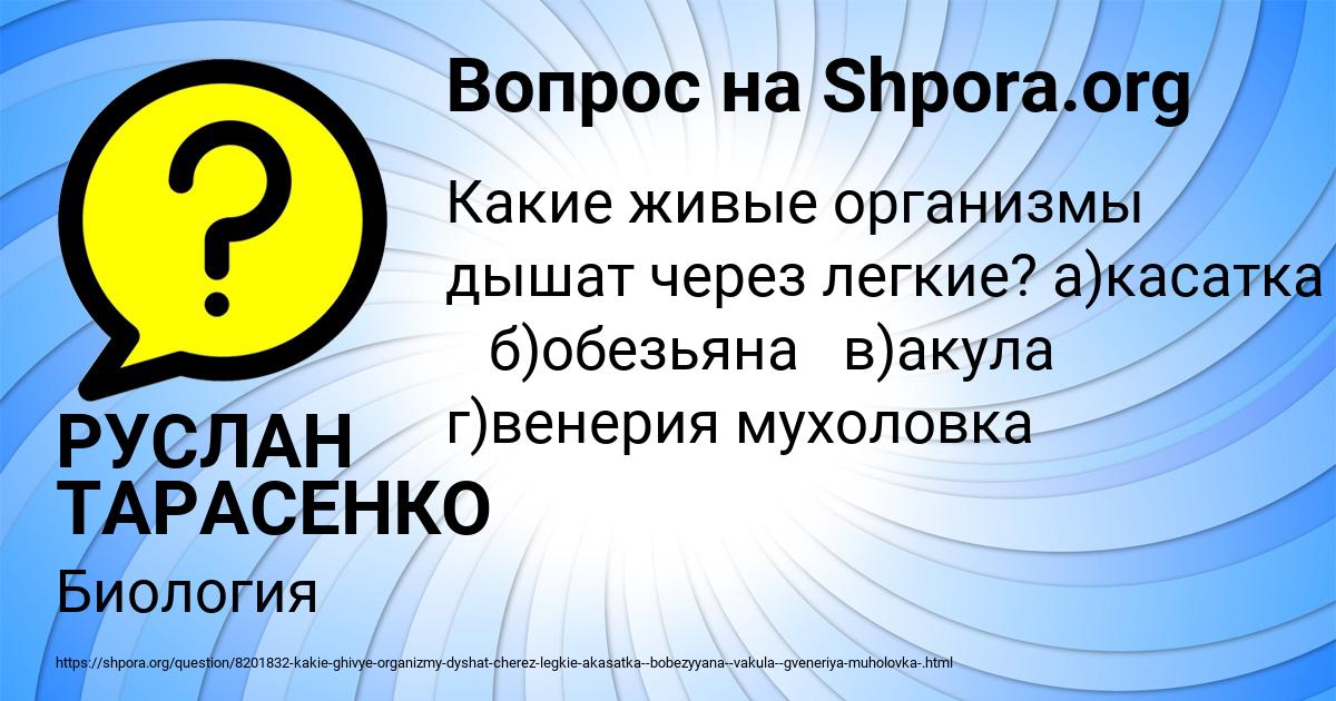 Картинка с текстом вопроса от пользователя РУСЛАН ТАРАСЕНКО