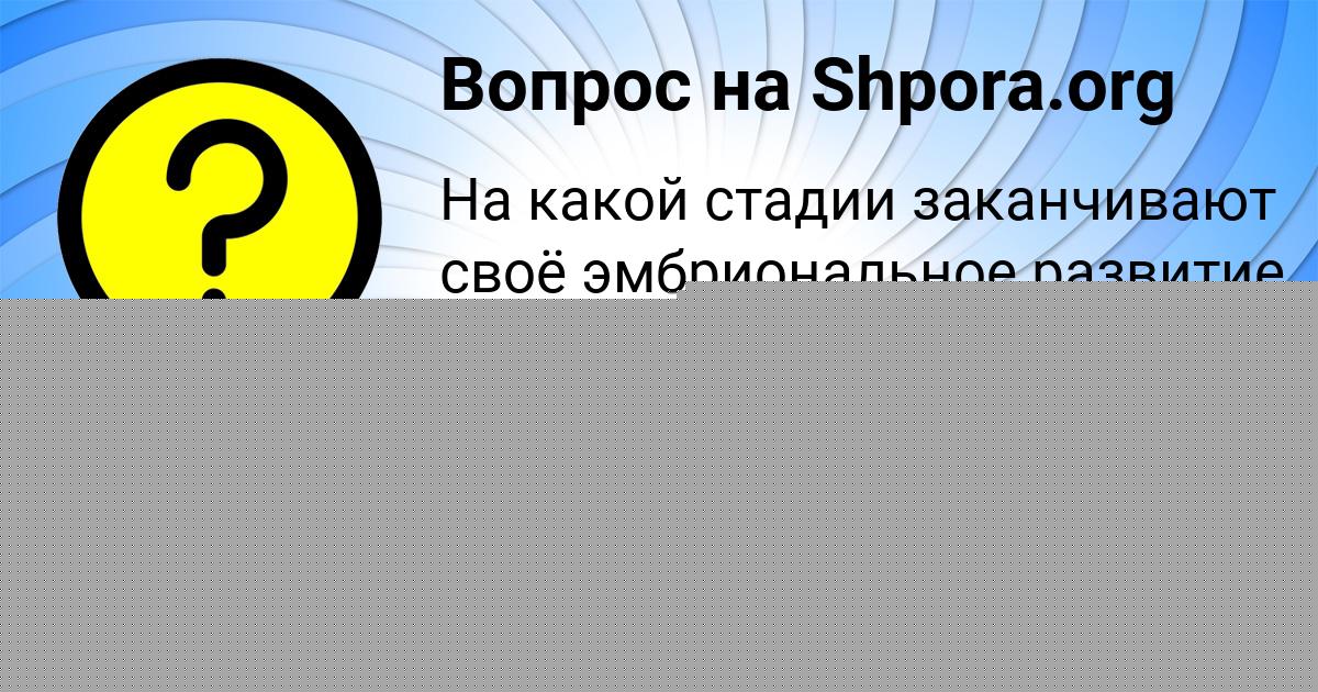Картинка с текстом вопроса от пользователя Kristina Karaseva