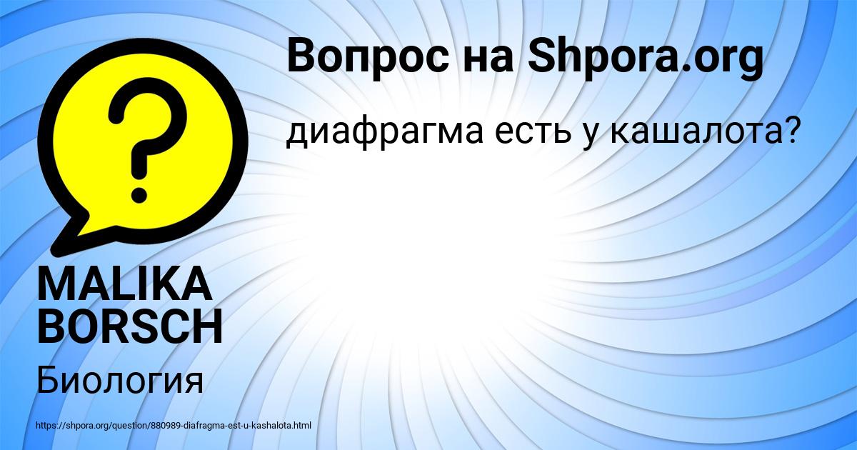 Картинка с текстом вопроса от пользователя MALIKA BORSCH
