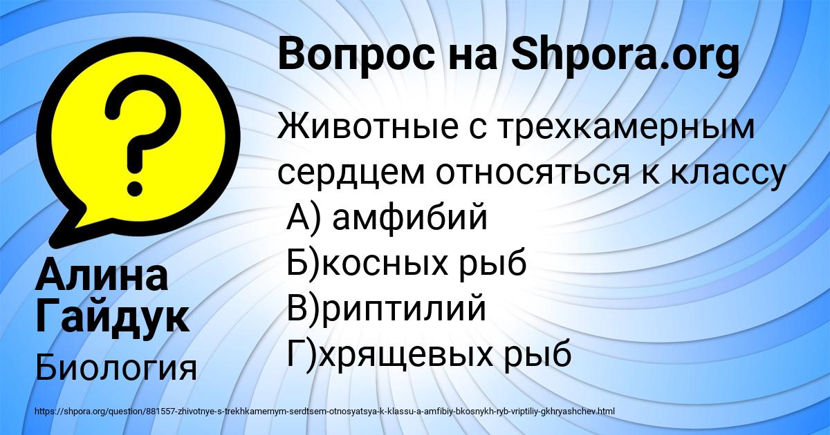Картинка с текстом вопроса от пользователя Алина Гайдук