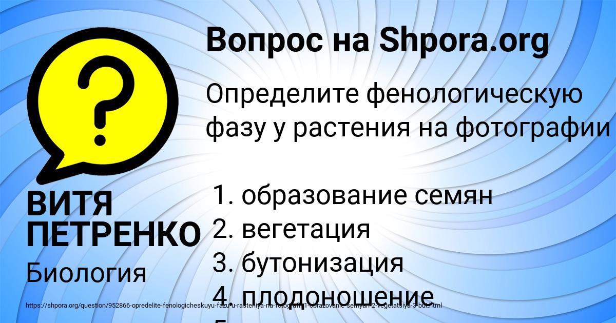 Картинка с текстом вопроса от пользователя ВИТЯ ПЕТРЕНКО