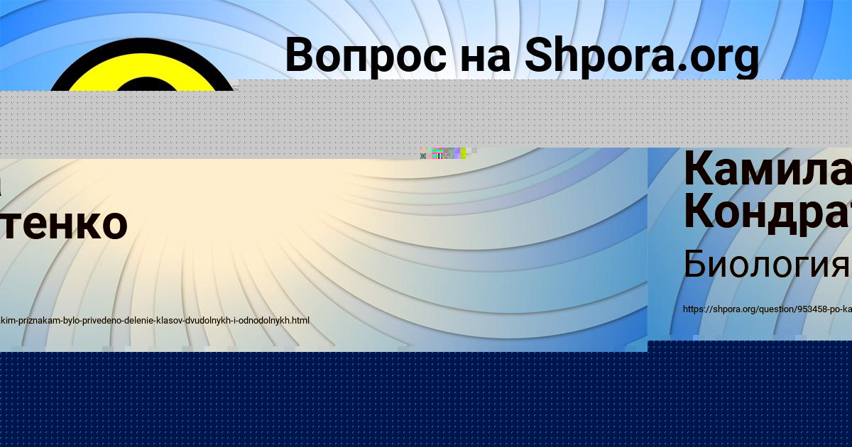 Картинка с текстом вопроса от пользователя Камила Кондратенко