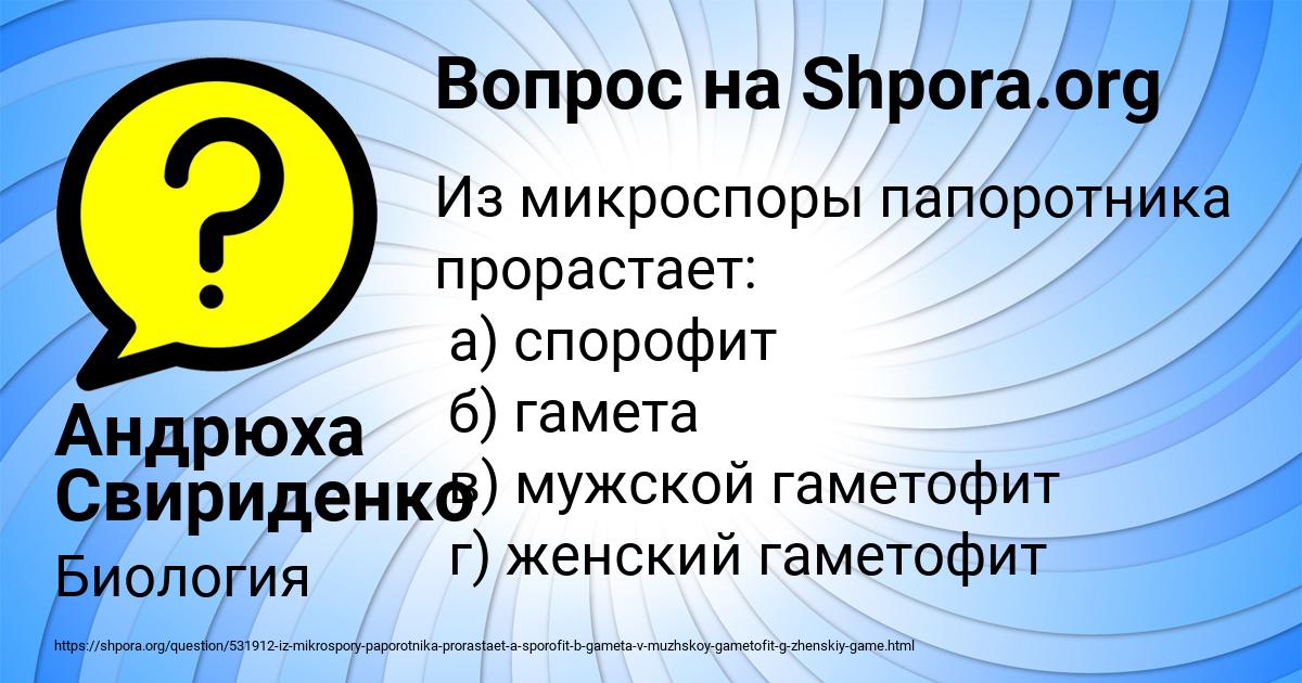 Картинка с текстом вопроса от пользователя Настя Волошын
