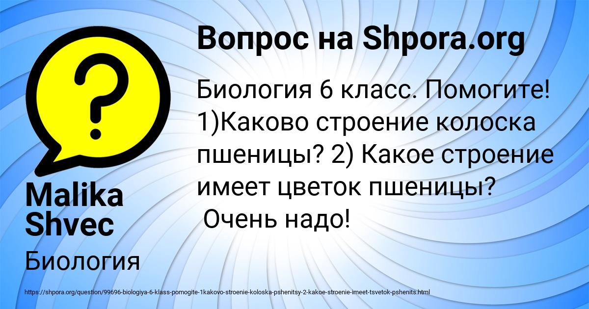 Картинка с текстом вопроса от пользователя Malika Shvec